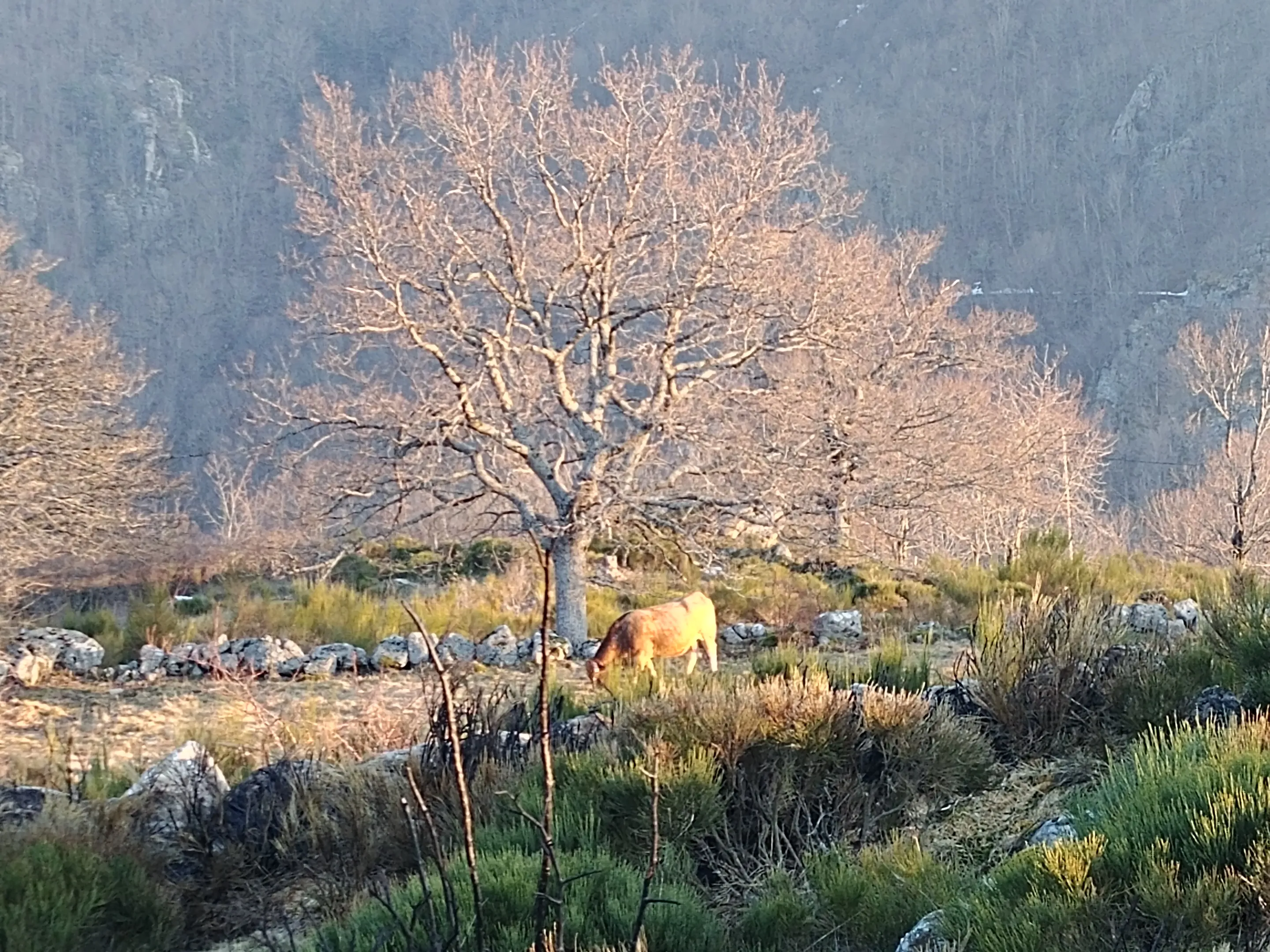 Séjour Pêche en Irlande
